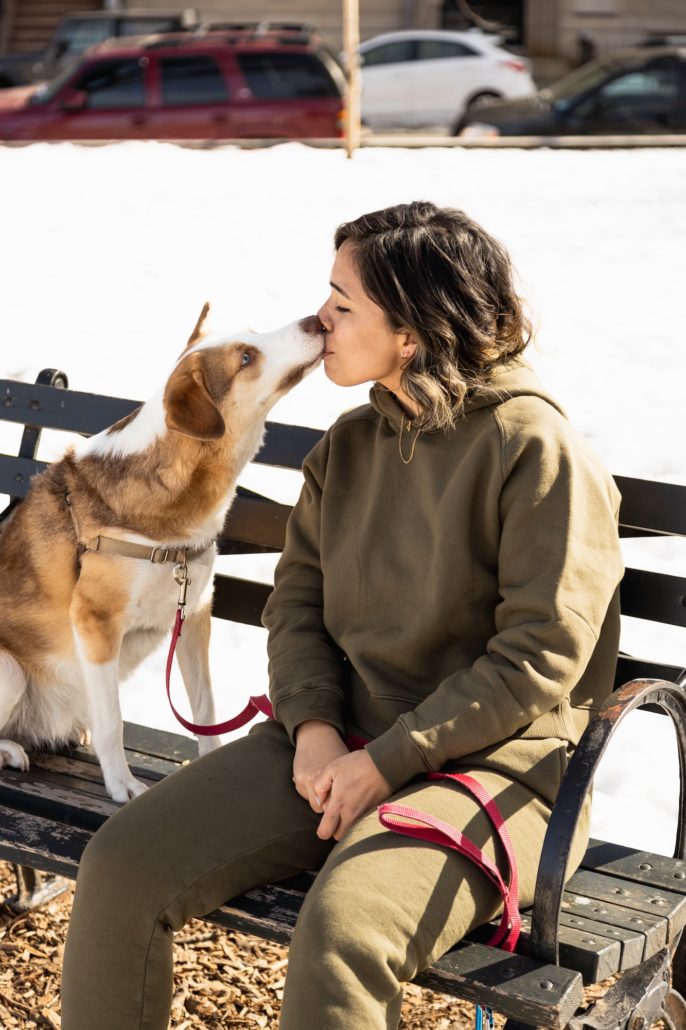 Image of a Good Boy Kissing his Owner