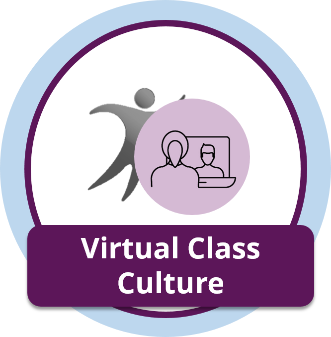 virtualclassculture