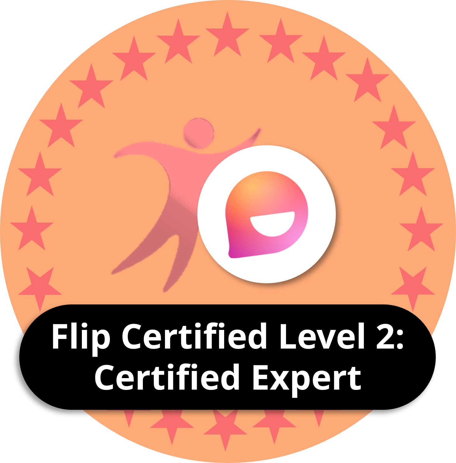 Flip certified level 2: Certified expert
