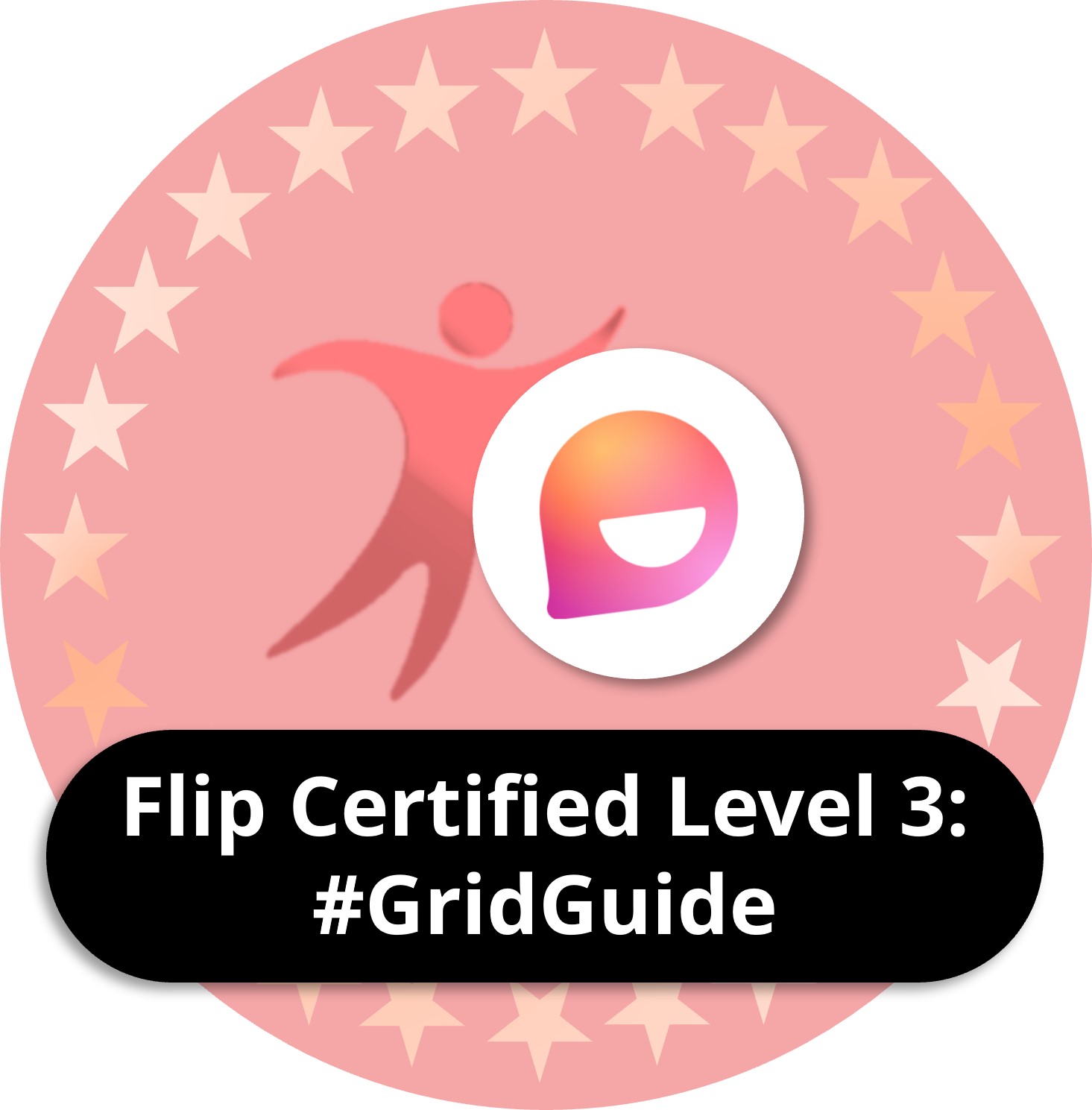 flip certified level 3: #Gridguide