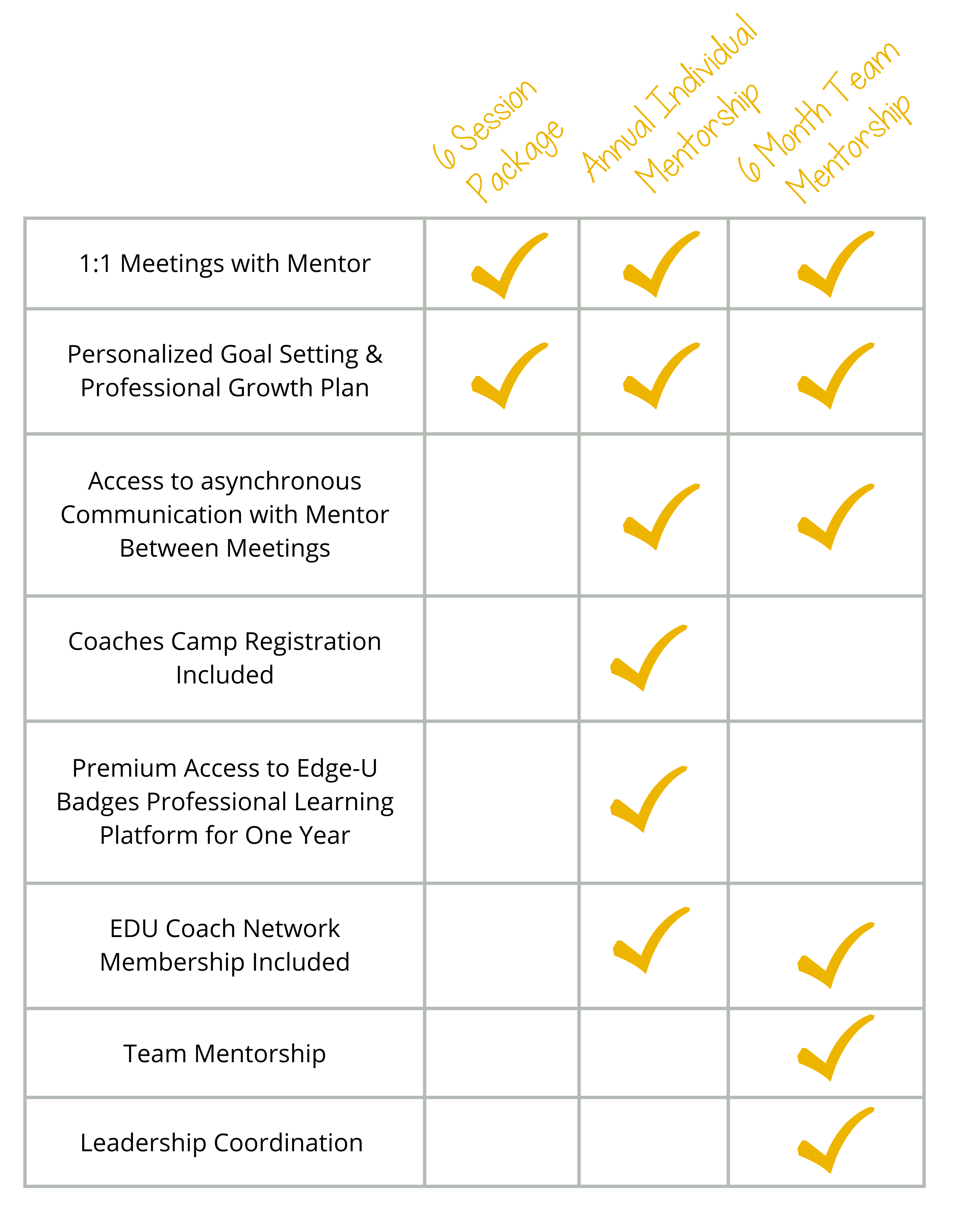 Mentor Options Checklist Table