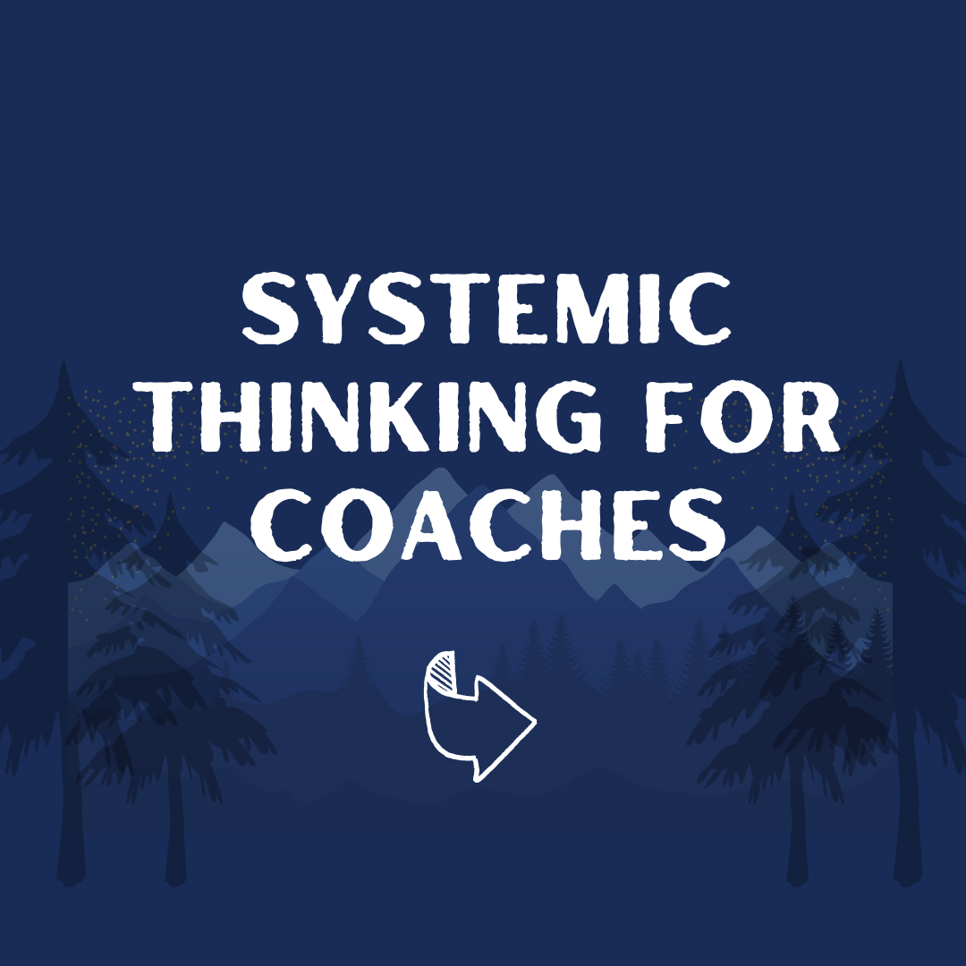 "Systemic Thinking for Coaches"