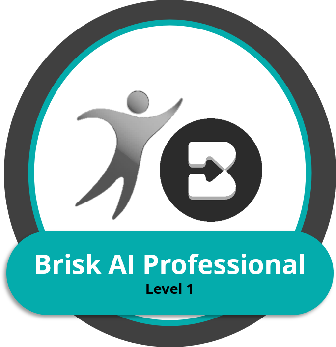 Brisk AI L1