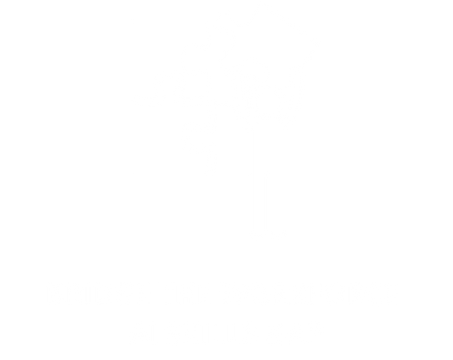 Bridge the AI Skills Gap in the Workforce