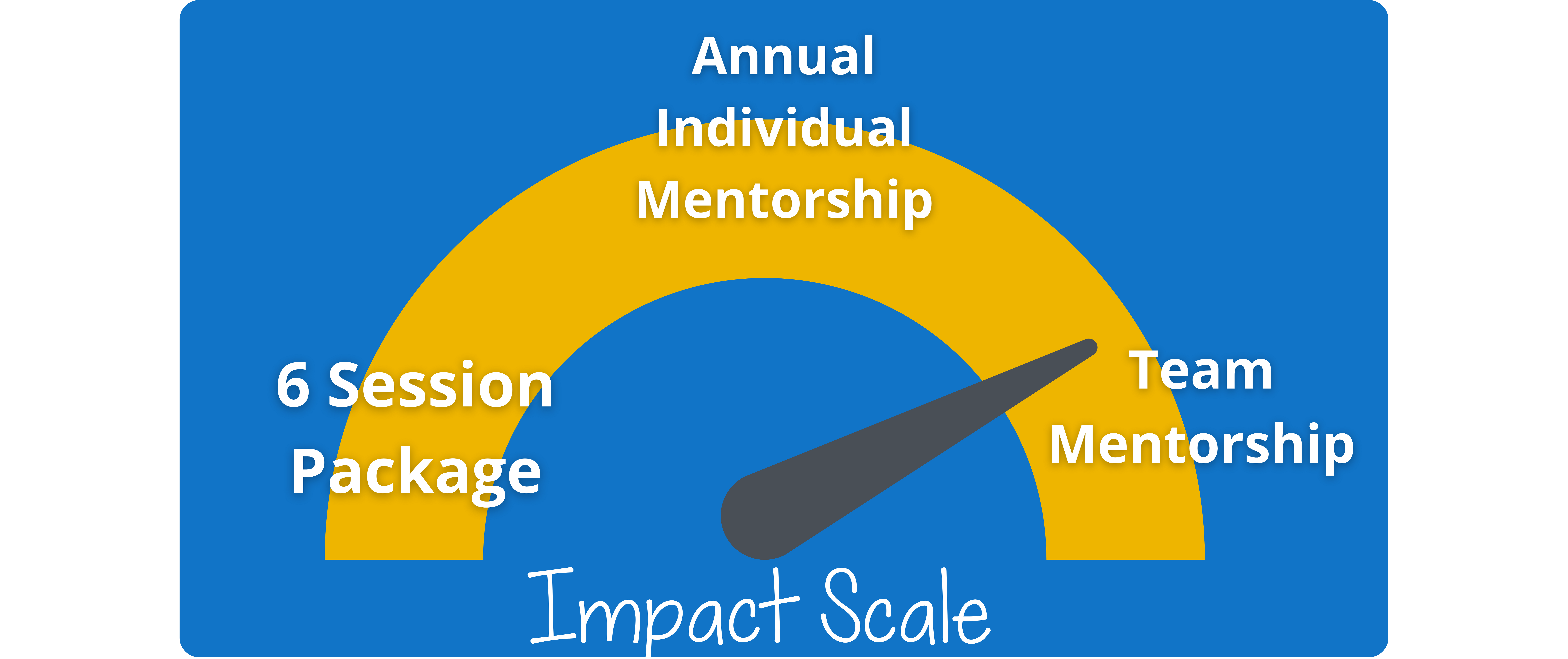 Flexible-Mentorship-Options-