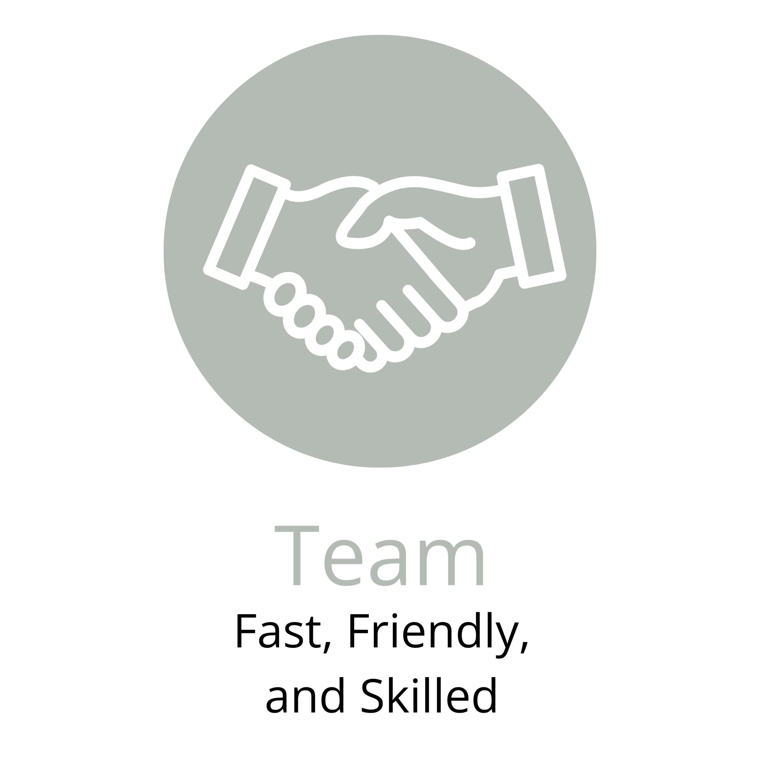 Team Fast, Friendly, and Skilled